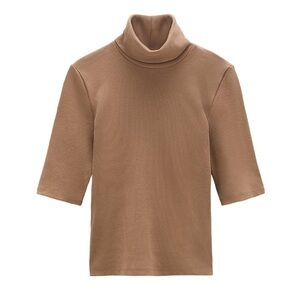 Zara Brown Turtleneck Sweater